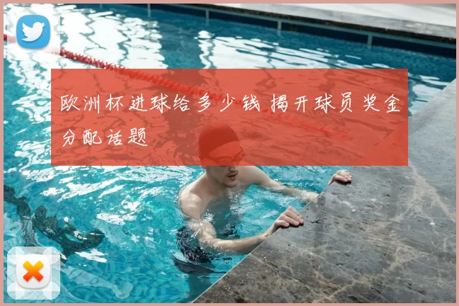 欧洲杯进球给多少钱 揭开球员奖金分配话题