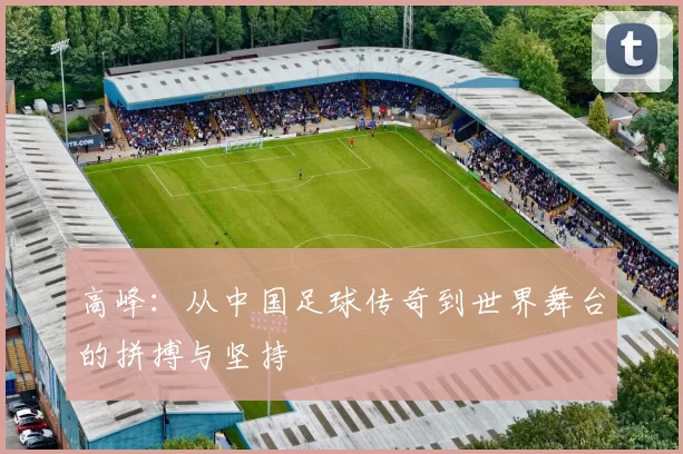 高峰:从中国足球传奇到世界舞台的拼搏与坚持
