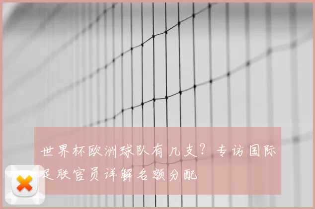 世界杯欧洲球队有几支？专访国际足联官员详解名额分配
