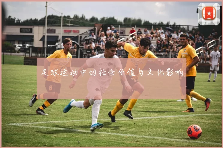 足球运动中的社会价值与文化影响