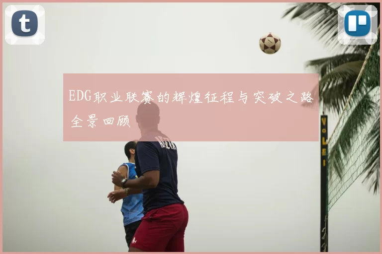 EDG职业联赛的辉煌征程与突破之路全景回顾