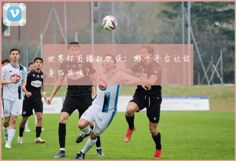 世界杯直播狂欢夜：哪个平台让你身临其境？