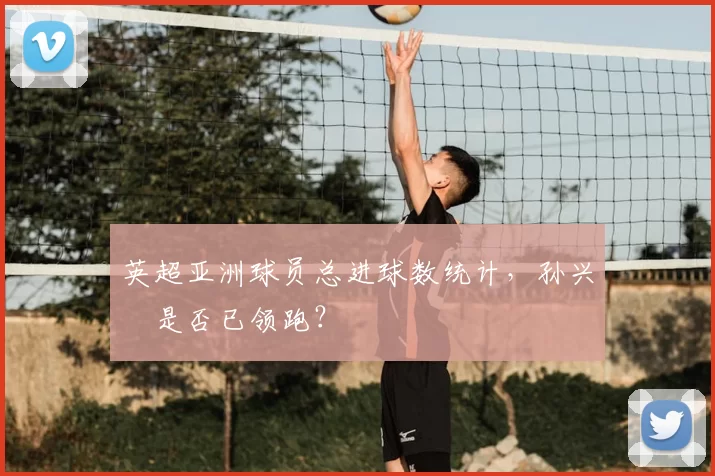 英超亚洲球员总进球数统计,孙兴慜是否已领跑?