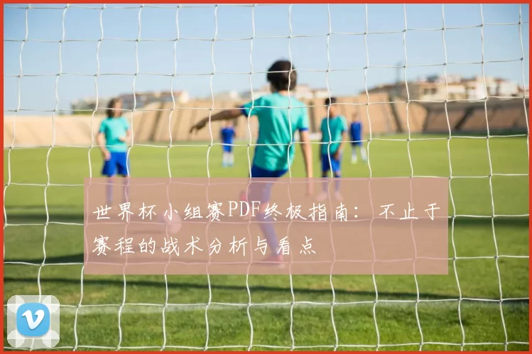 世界杯小组赛PDF终极指南:不止于赛程的战术分析与看点