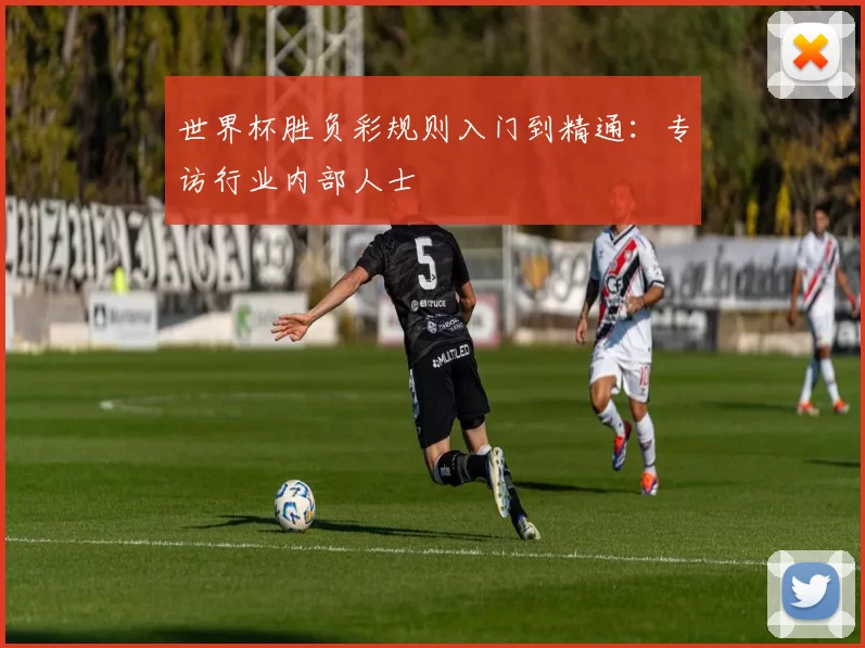 世界杯胜负彩规则入门到精通:专访行业内部人士