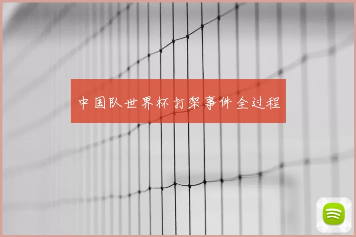 中国队世界杯打架事件全过程
