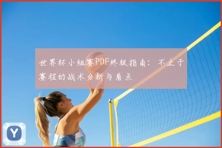 世界杯小组赛PDF终极指南:不止于赛程的战术分析与看点