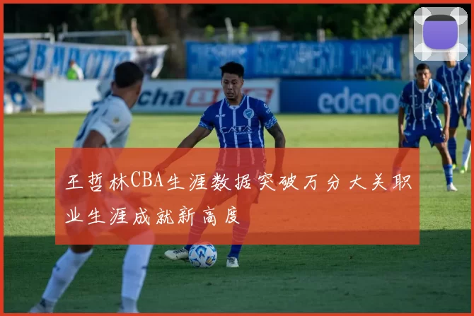 王哲林CBA生涯数据突破万分大关职业生涯成就新高度