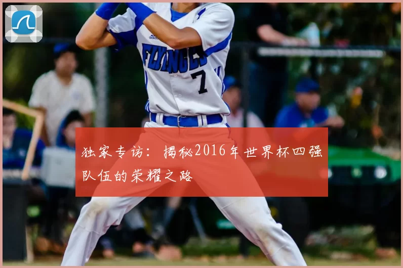 独家专访:揭秘2016年世界杯四强队伍的荣耀之路