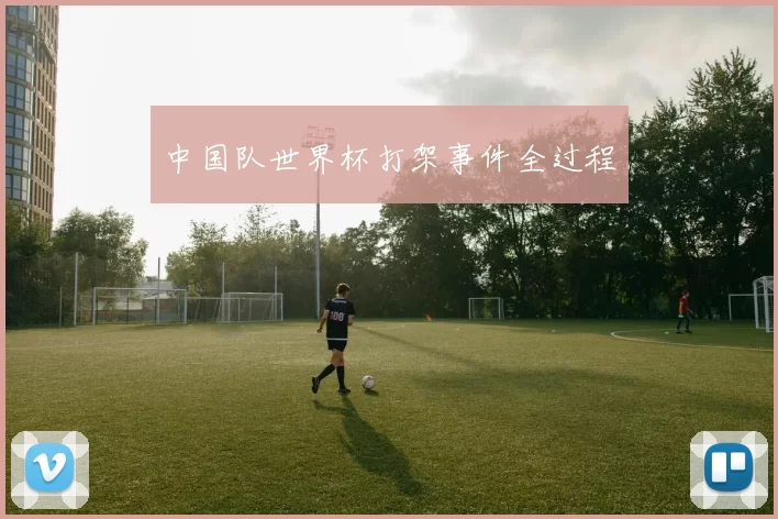 中国队世界杯打架事件全过程