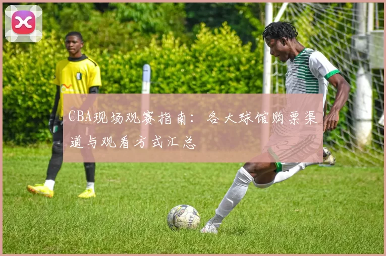 CBA现场观赛指南：各大球馆购票渠道与观看方式汇总