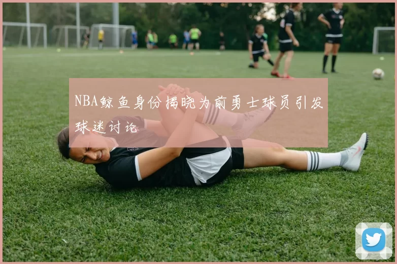 NBA鲸鱼身份揭晓为前勇士球员引发球迷讨论