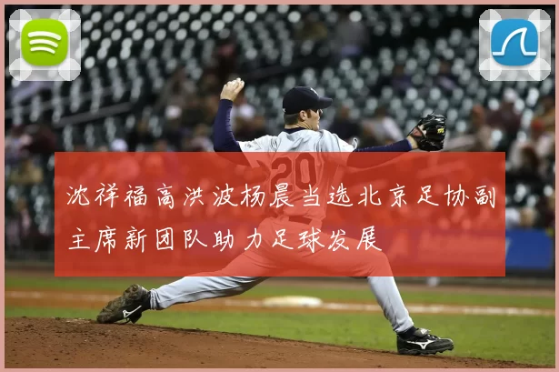 沈祥福高洪波杨晨当选北京足协副主席新团队助力足球发展