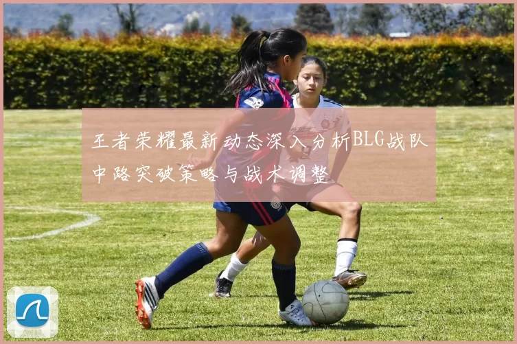 王者荣耀最新动态深入分析BLG战队中路突破策略与战术调整