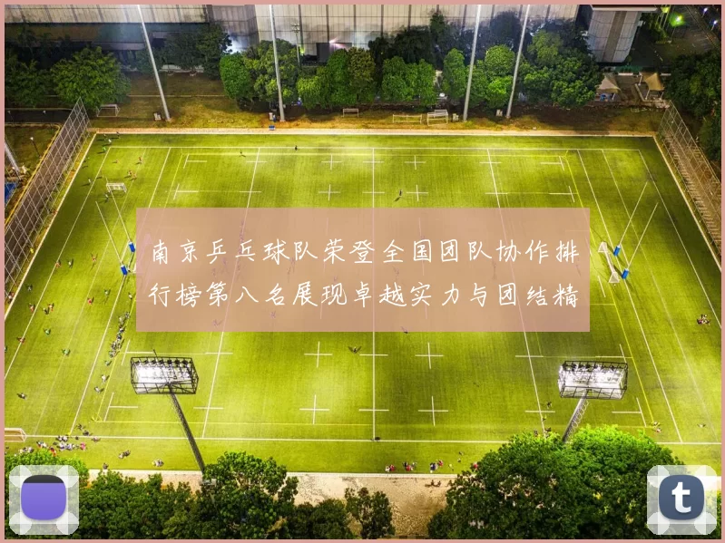 南京乒乓球队荣登全国团队协作排行榜第八名展现卓越实力与团结精神