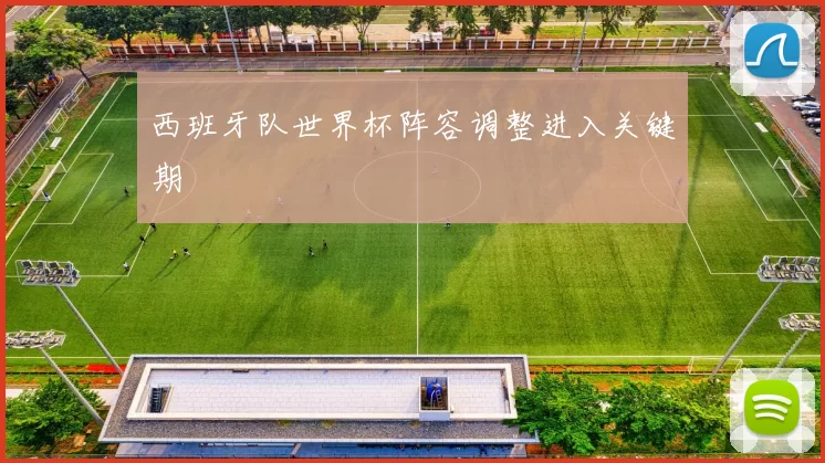 西班牙队世界杯阵容调整进入关键期