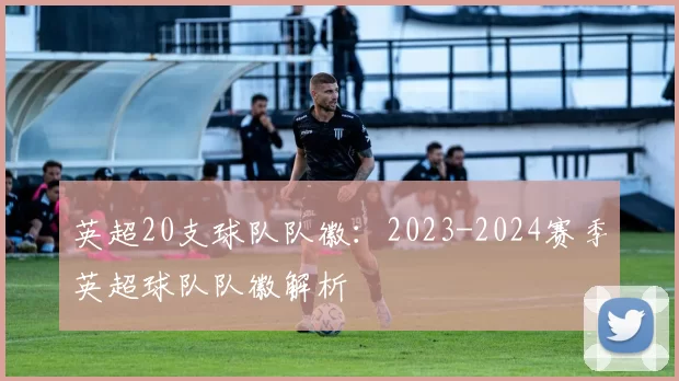 英超20支球队队徽：2023-2024赛季英超球队队徽解析