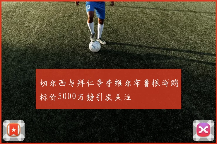 切尔西与拜仁争夺维尔布鲁根海鸥标价5000万镑引发关注