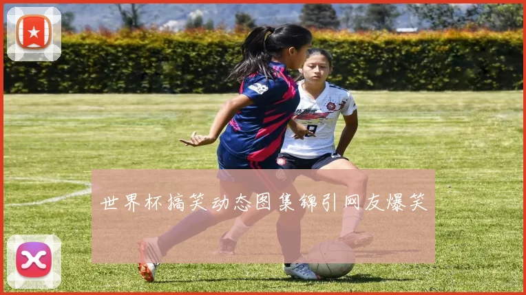 世界杯搞笑动态图集锦引网友爆笑