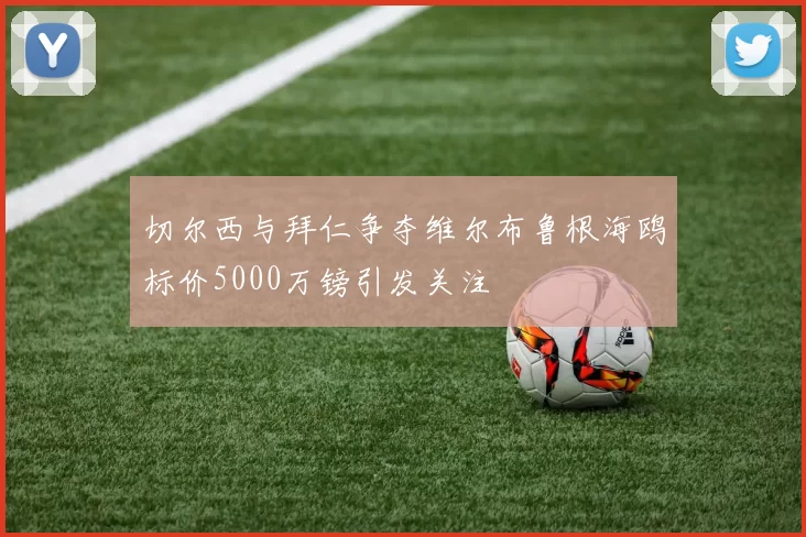 切尔西与拜仁争夺维尔布鲁根海鸥标价5000万镑引发关注