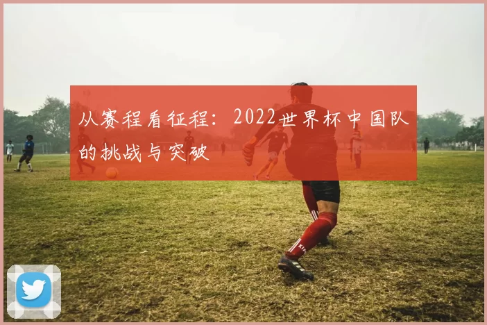 从赛程看征程:2022世界杯中国队的挑战与突破