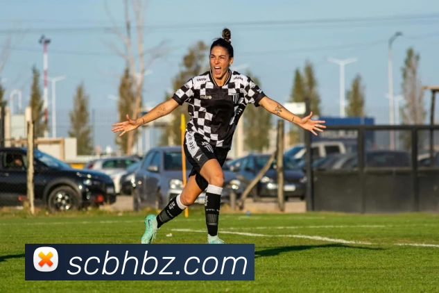 华体会体育平台生态图